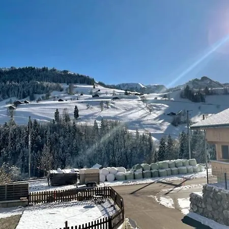 Apartment Mountain *nature *queen Beds *free Parking Oberwil (Berne)