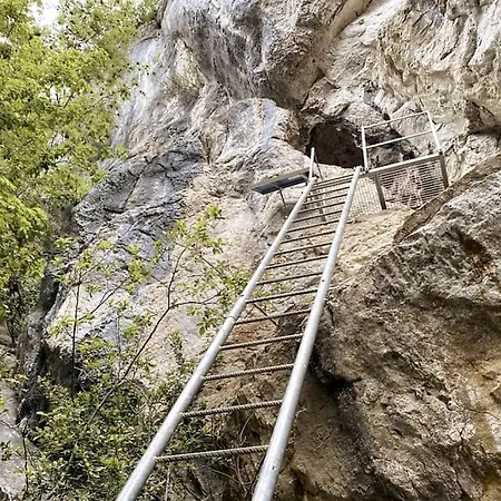 Mountain *nature *queen Beds *free Parking Apartment Oberwil (Berne)